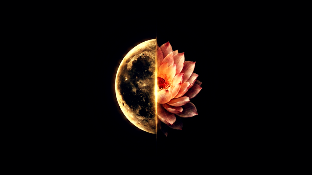 Astrolgy Life Path 1.png 1 1024x576